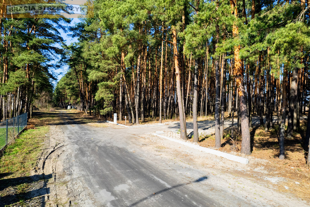 Działka z lasem pod Warszawą