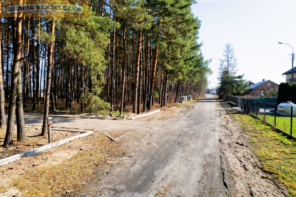 Działka z lasem pod Warszawą