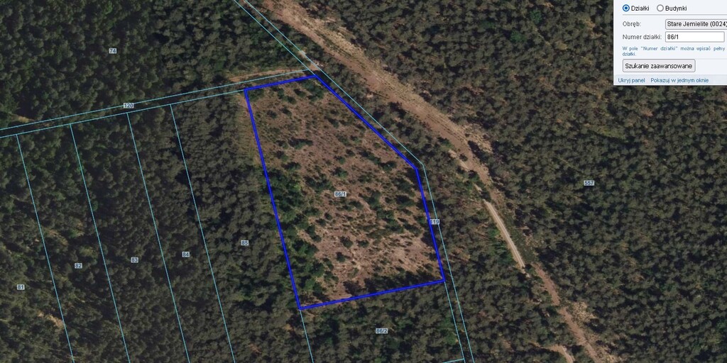 Posadź Swój własny las w Starych Jemielitych