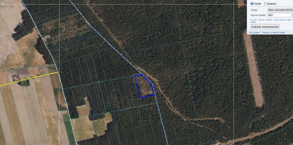 Posadź Swój własny las w Starych Jemielitych