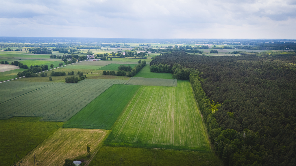 Działka budowlana w spokojnej okolicy k. Zgierza