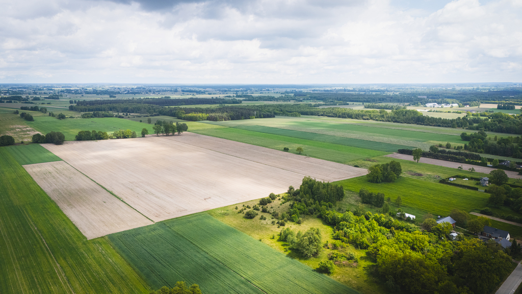 Działka budowlana w spokojnej okolicy k. Zgierza