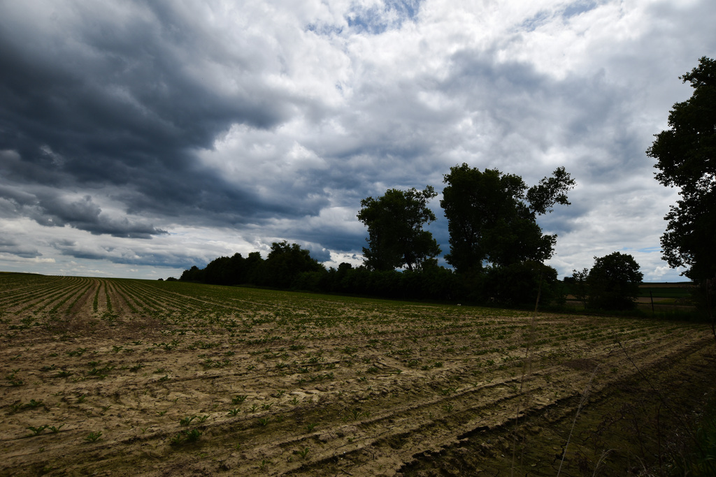 Grunt z MPZP - Przeworsk