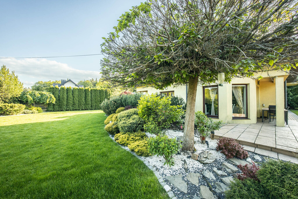 Dom, który oddycha przestrzenią