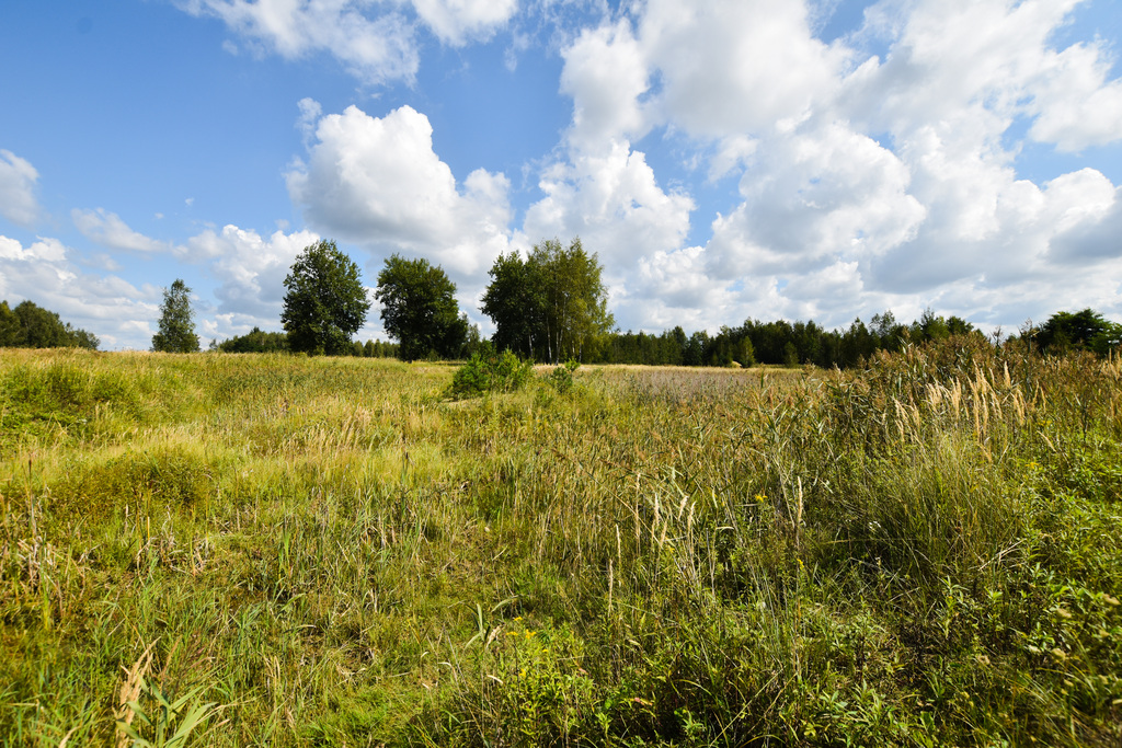 Działki inwestycyjne w Mrowli