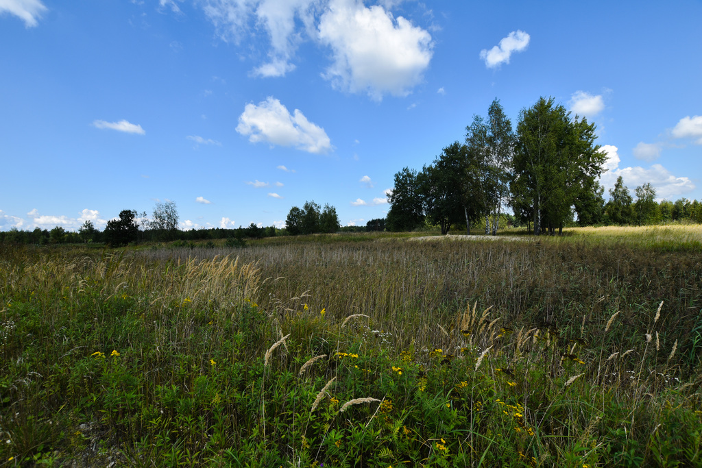 Działki inwestycyjne w Mrowli