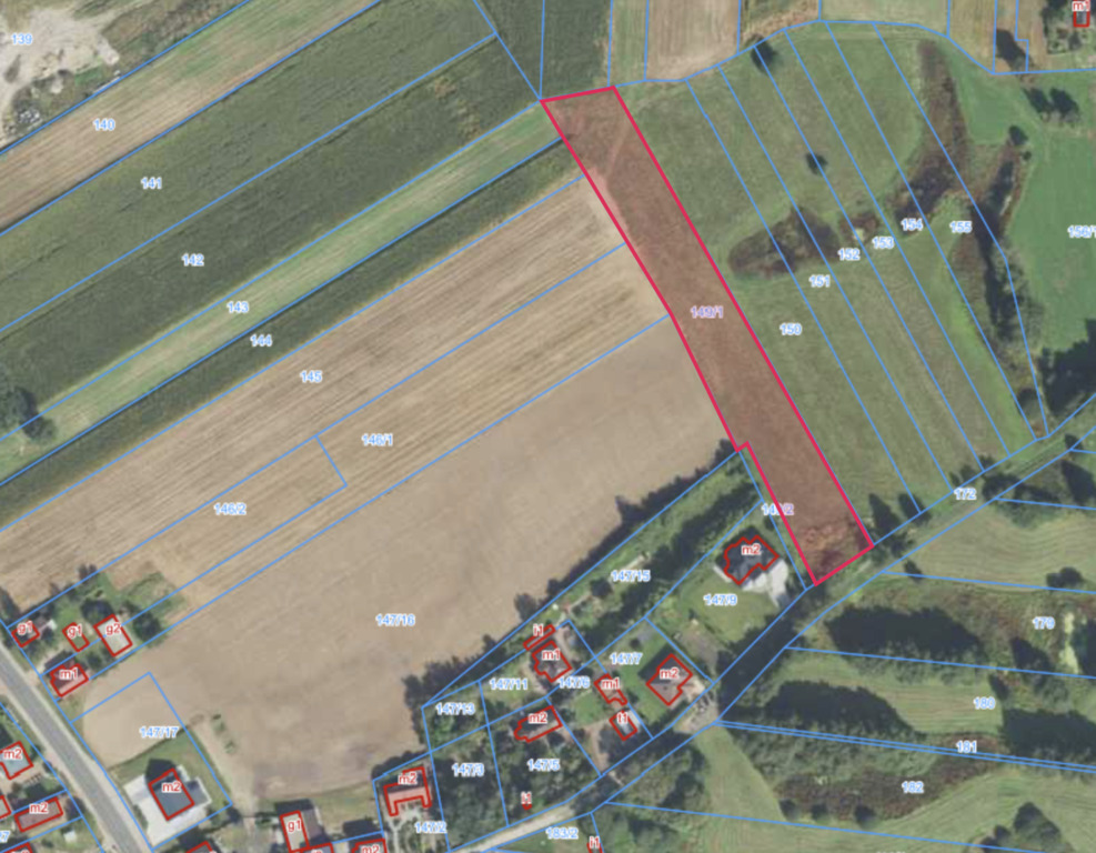 Działka 4988 m² w Kaliszu-natura i miasto w jednym
