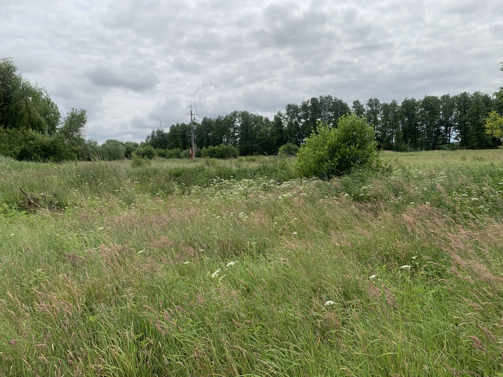 3 działki do wyboru pod dom jednorodzinny