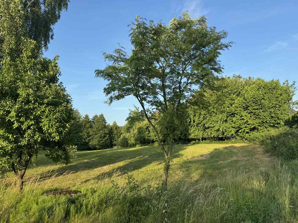 Twoje 1417 m²  - działka w Borówiec