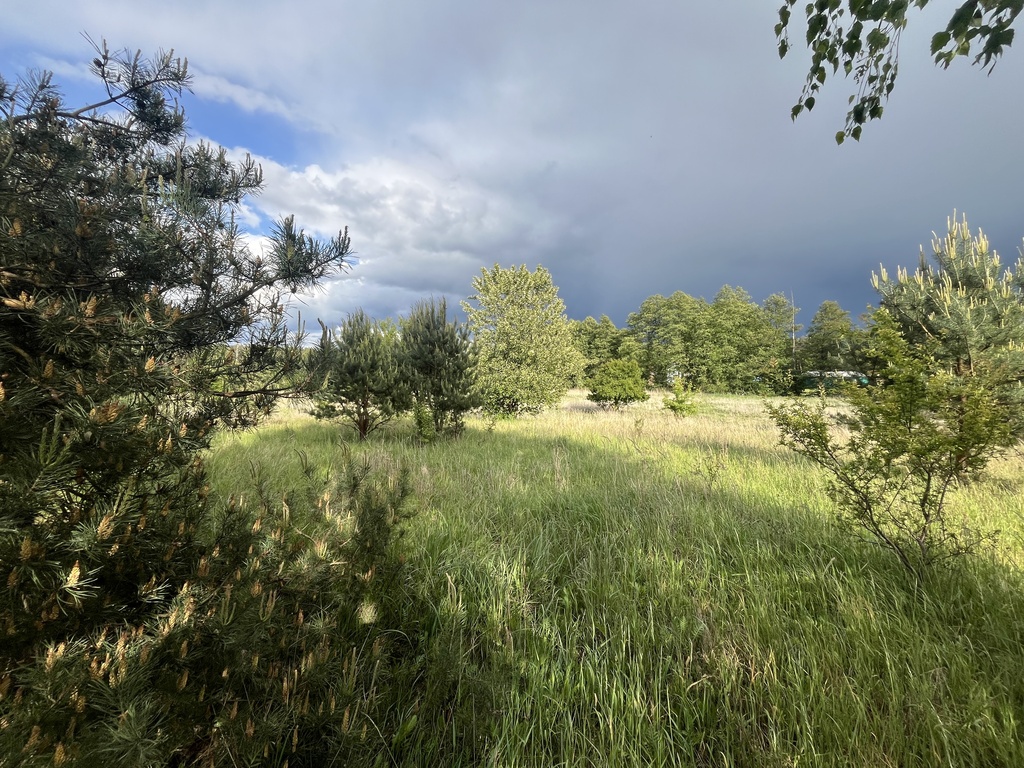 Twój azyl nad rzeką - działka