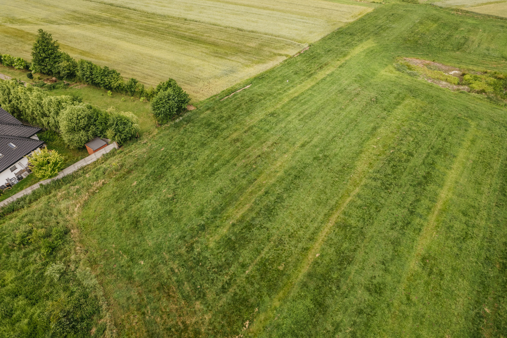 Działka 4988 m² w Kaliszu-natura i miasto w jednym