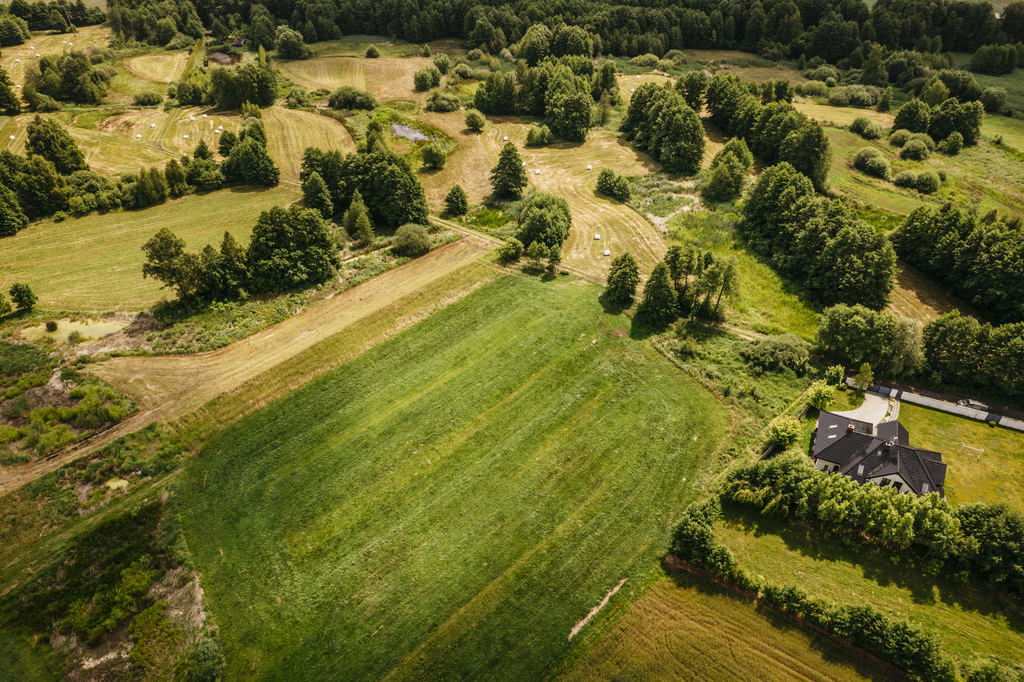 Działka 4988 m² w Kaliszu-natura i miasto w jednym