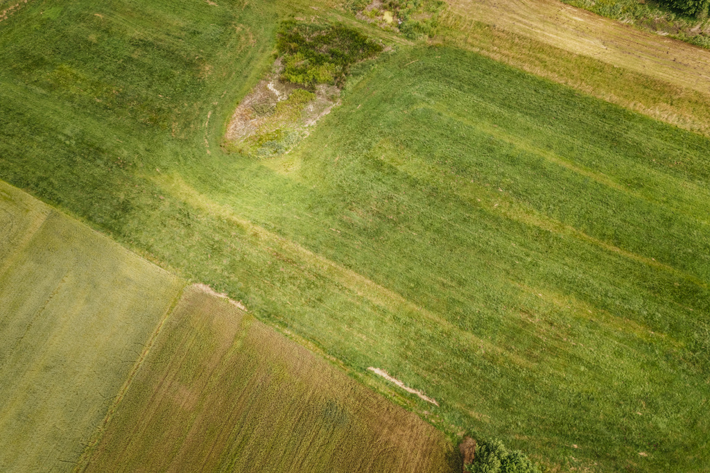 Działka 4988 m² w Kaliszu-natura i miasto w jednym