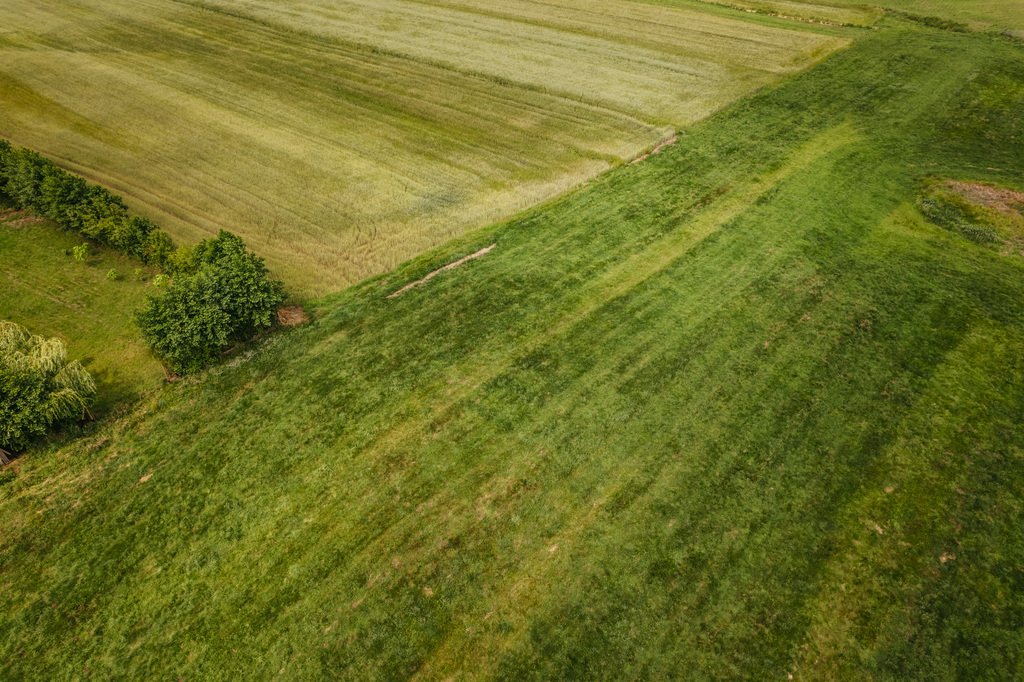Działka 4988 m² w Kaliszu-natura i miasto w jednym