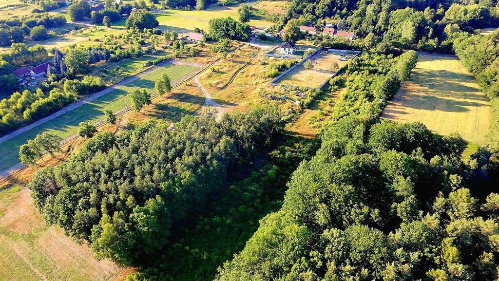 Pierwsza już sprzedana, zostało 11