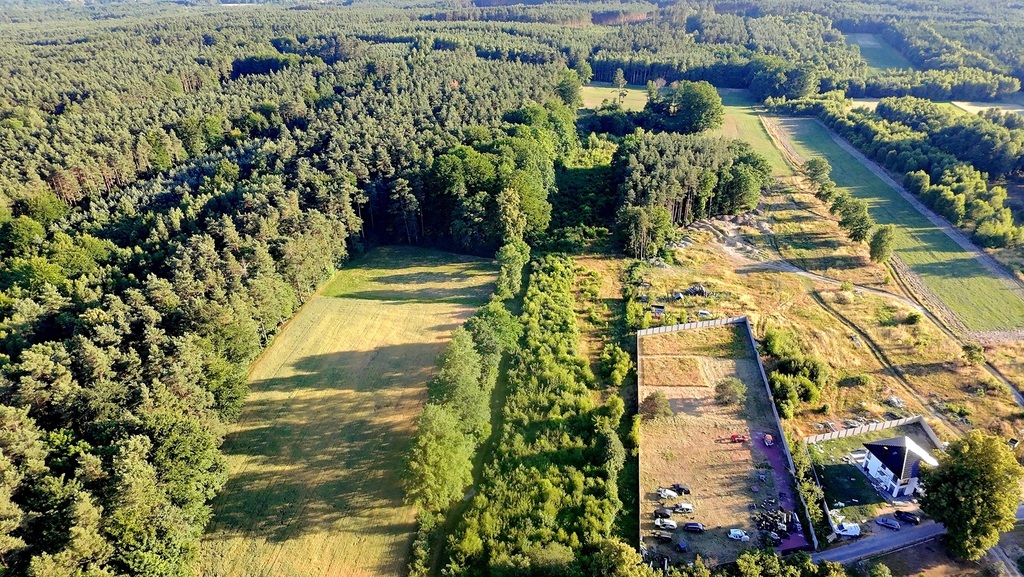 Pierwsza już sprzedana, zostało 11