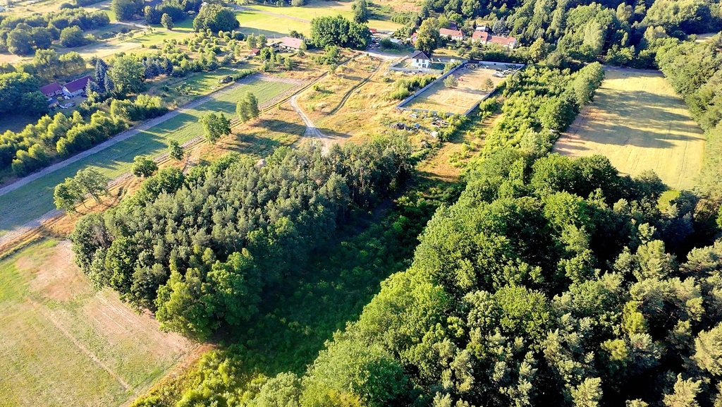 Pierwsza już sprzedana, zostało 11
