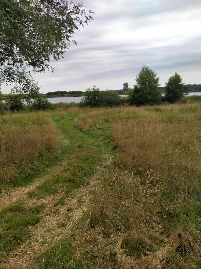 Działka 4211m2,Czarnowo, blisko jezioro,las.