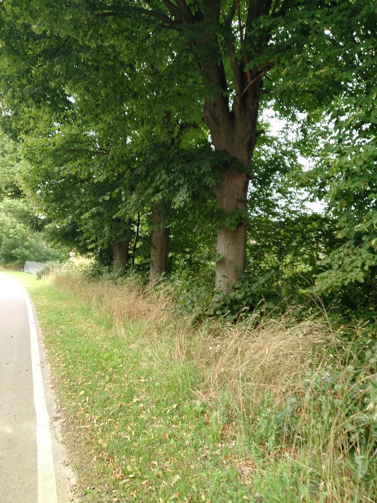 Działka 4211m2,Czarnowo, blisko jezioro,las.