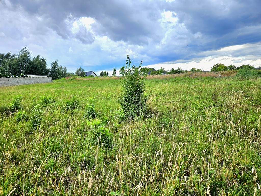 Działka 1906 m² w Dębnie pod dom jednorodzinny