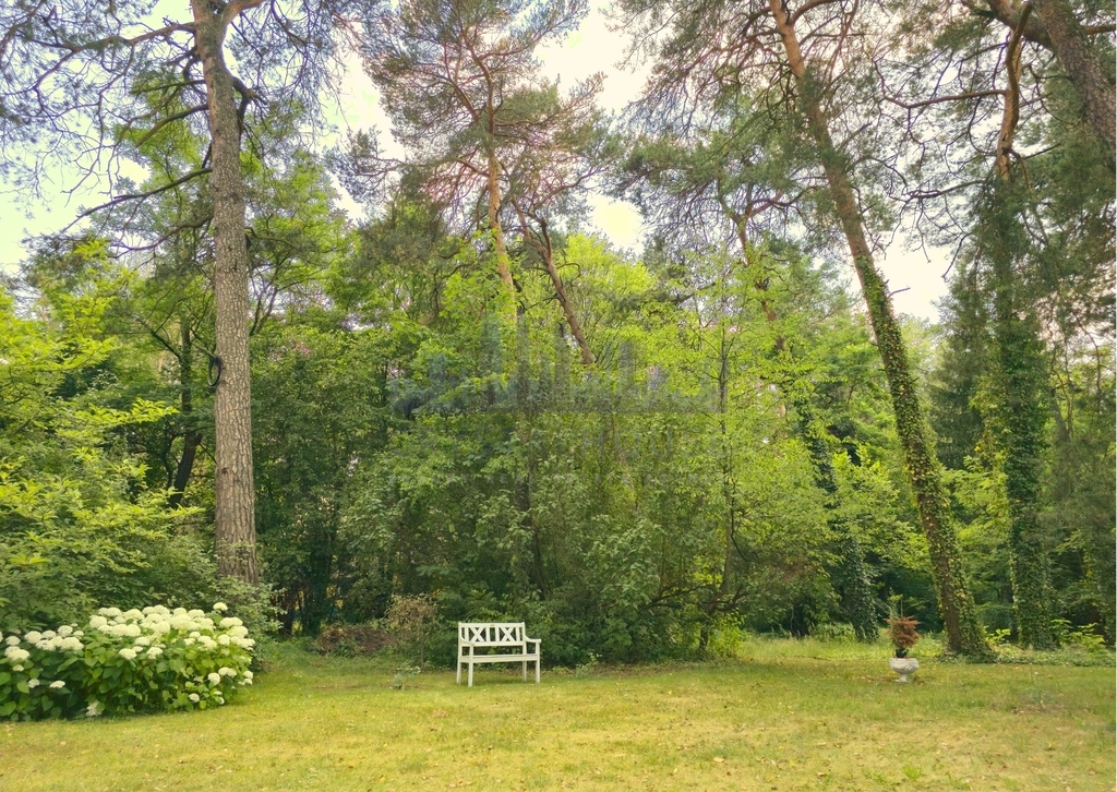 Unikatowa willa Marconiego pod Warszawą z ogrodem