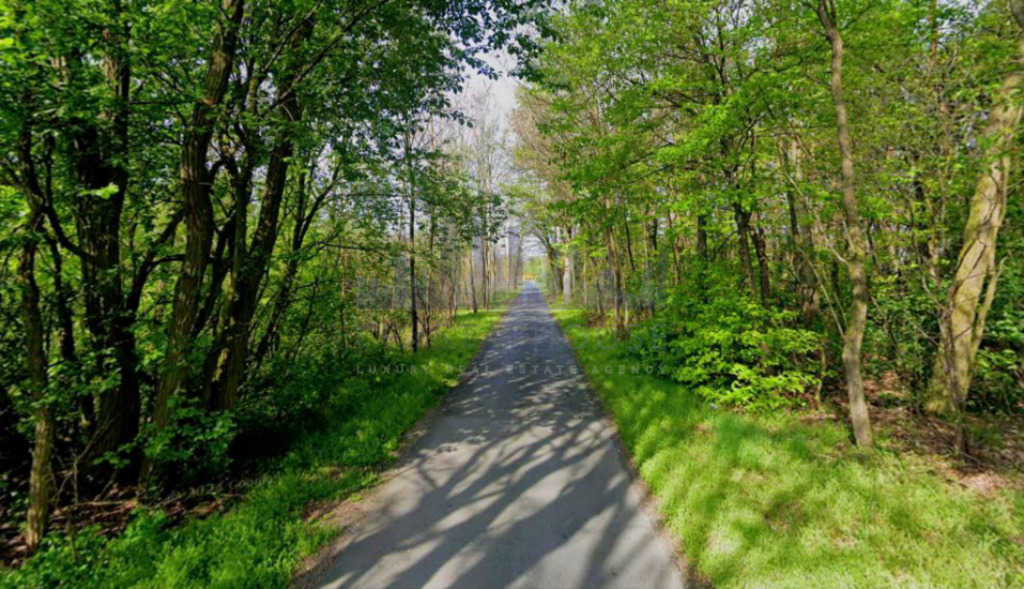 Działka z potencjałem Pasikonie/Kampinos