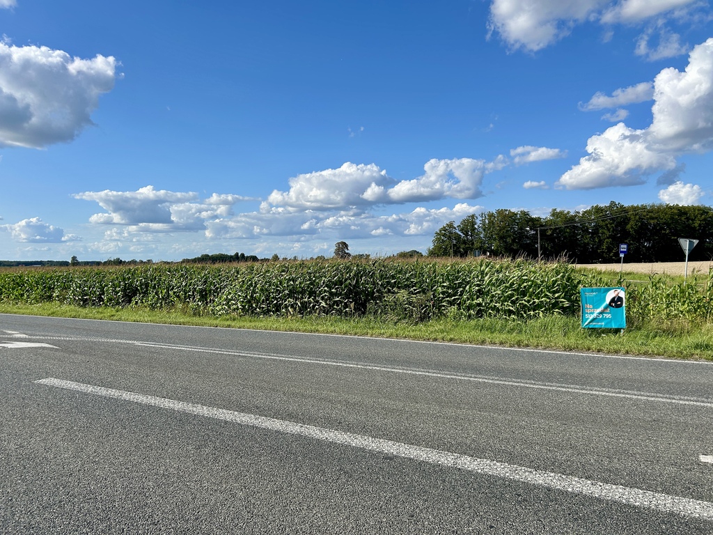 15 ustawnych działek - WZ w procesie, droga asfalt