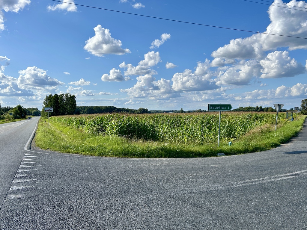 15 ustawnych działek - WZ w procesie, droga asfalt