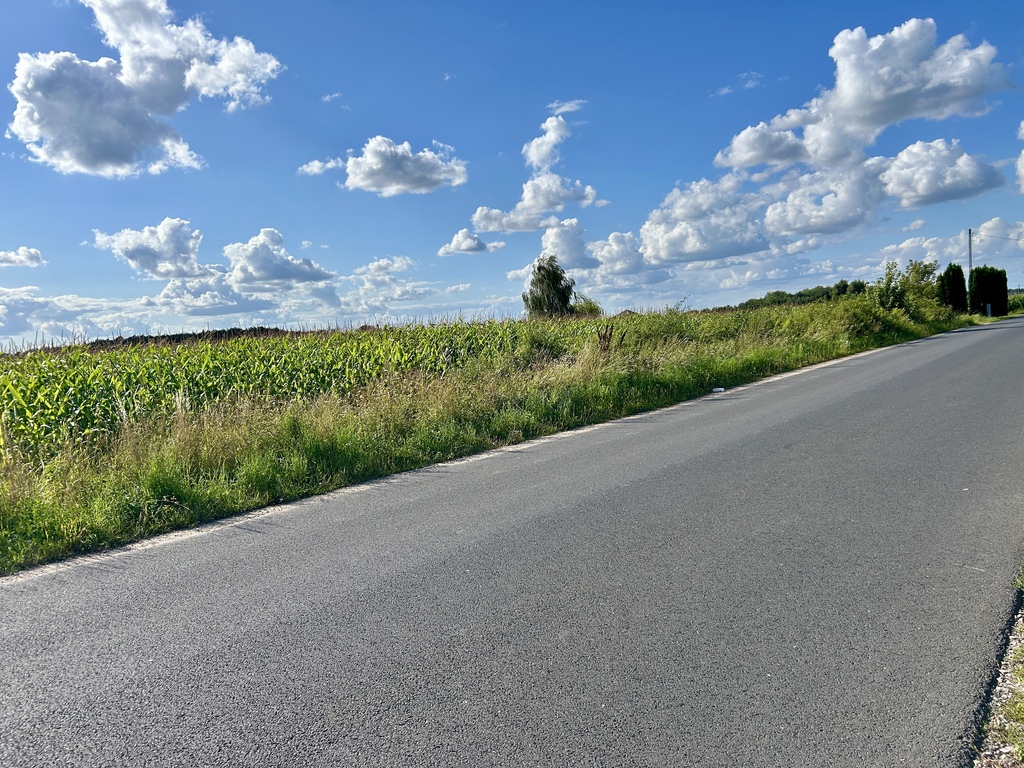 15 ustawnych działek - WZ w procesie, droga asfalt