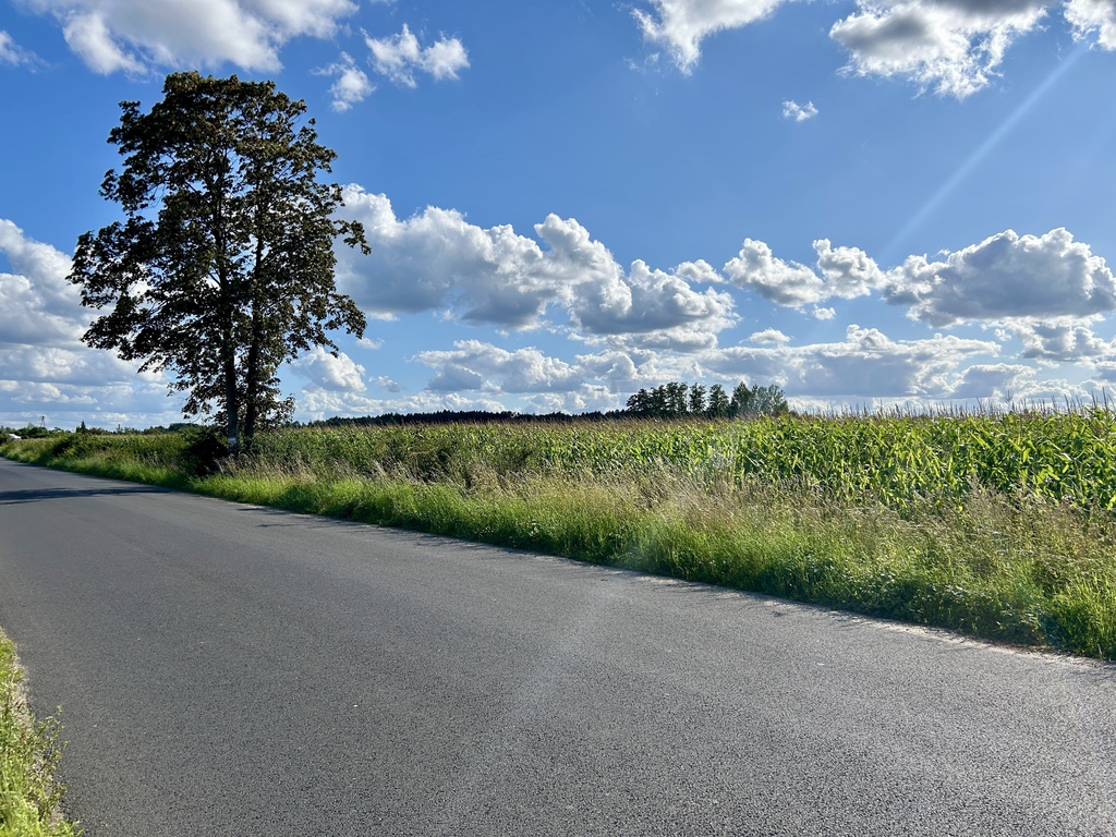 15 ustawnych działek - WZ w procesie, droga asfalt