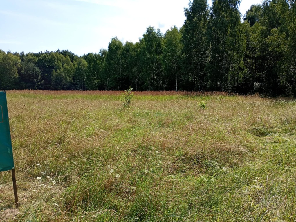 Działka na odludziu? Tak, i to konkretna!