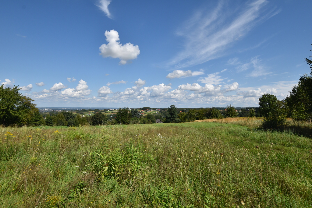 Działki rolne w Chmielniku