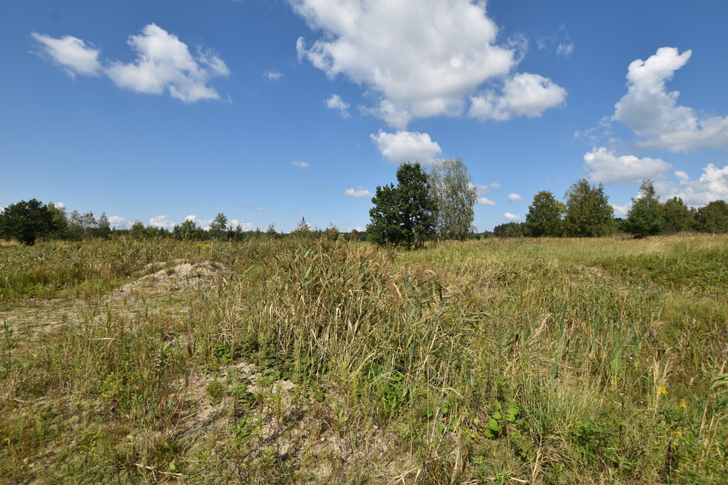Działki rolne w Chmielniku