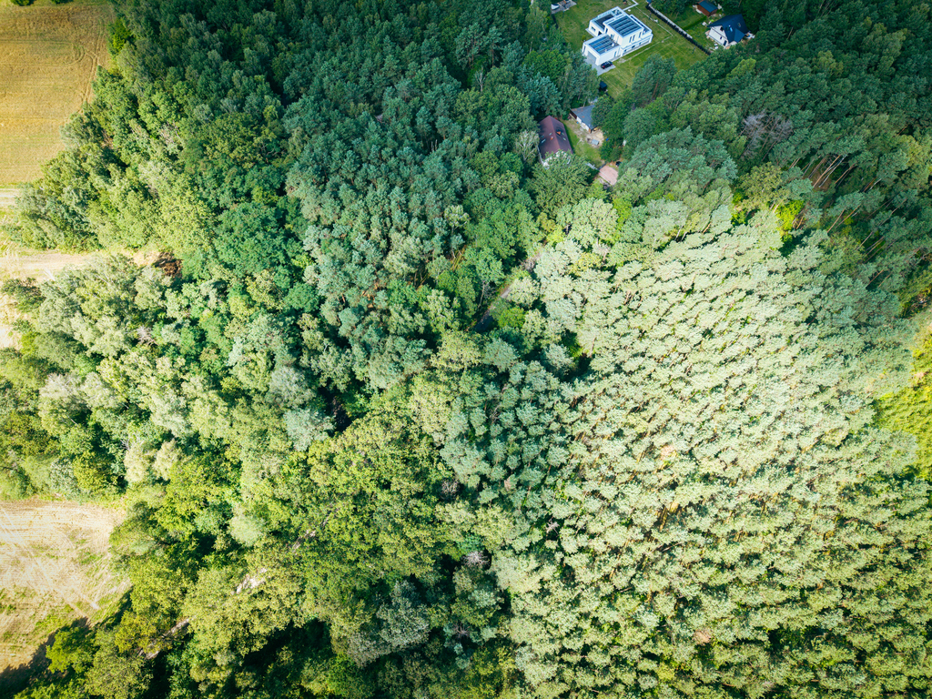 Leśne zacisze czeka na Ciebie!