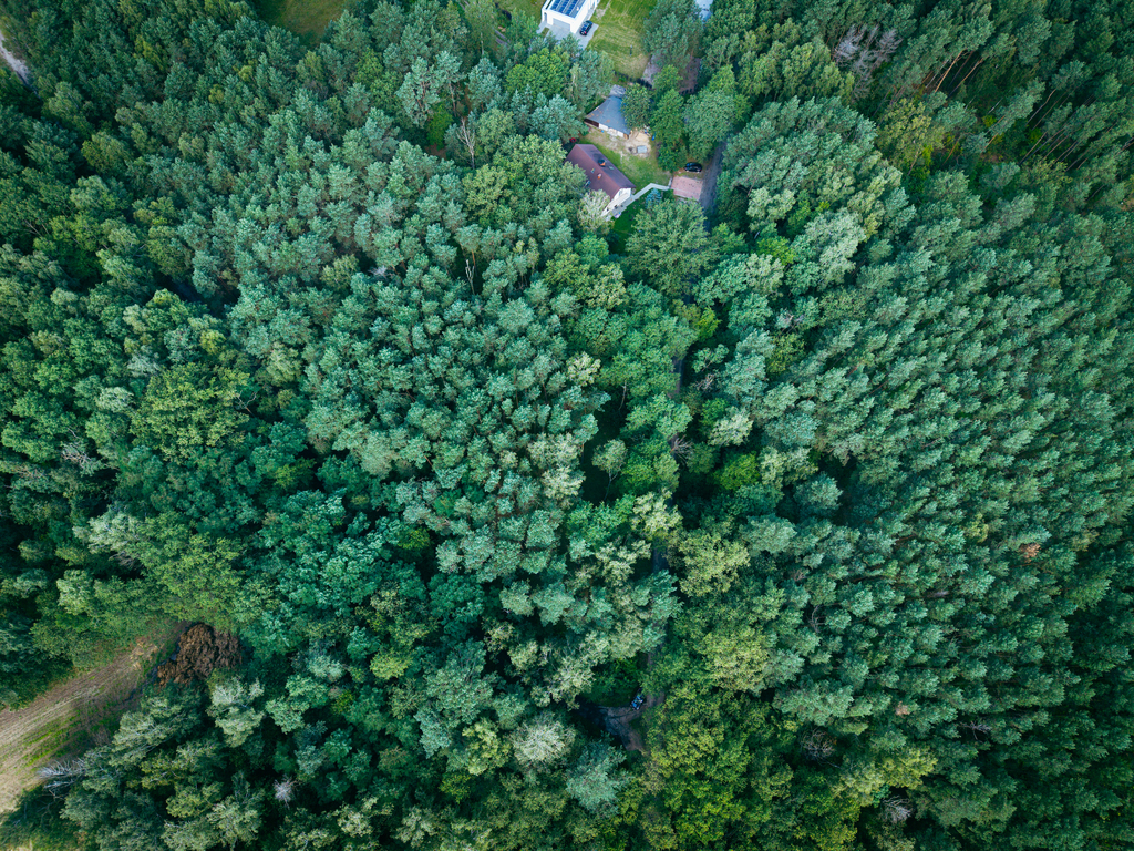 Leśne zacisze czeka na Ciebie!