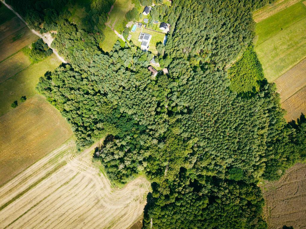 Leśne zacisze czeka na Ciebie!