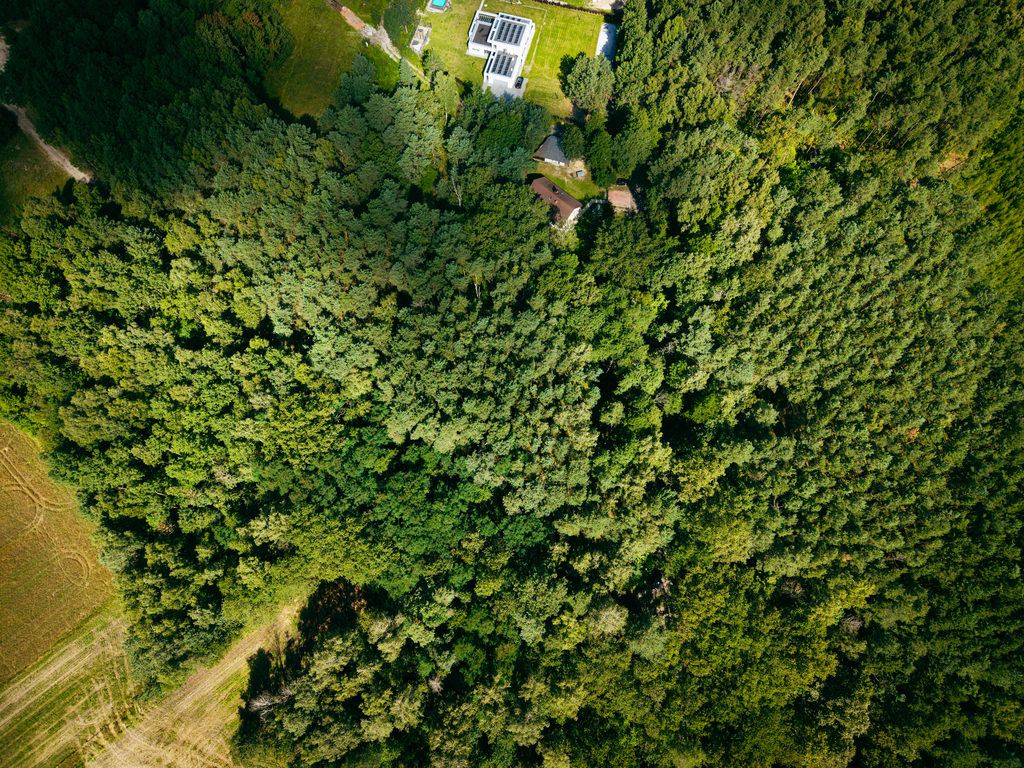 Leśne zacisze czeka na Ciebie!