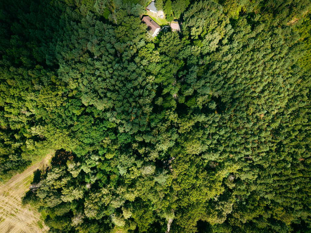 Leśne zacisze czeka na Ciebie!