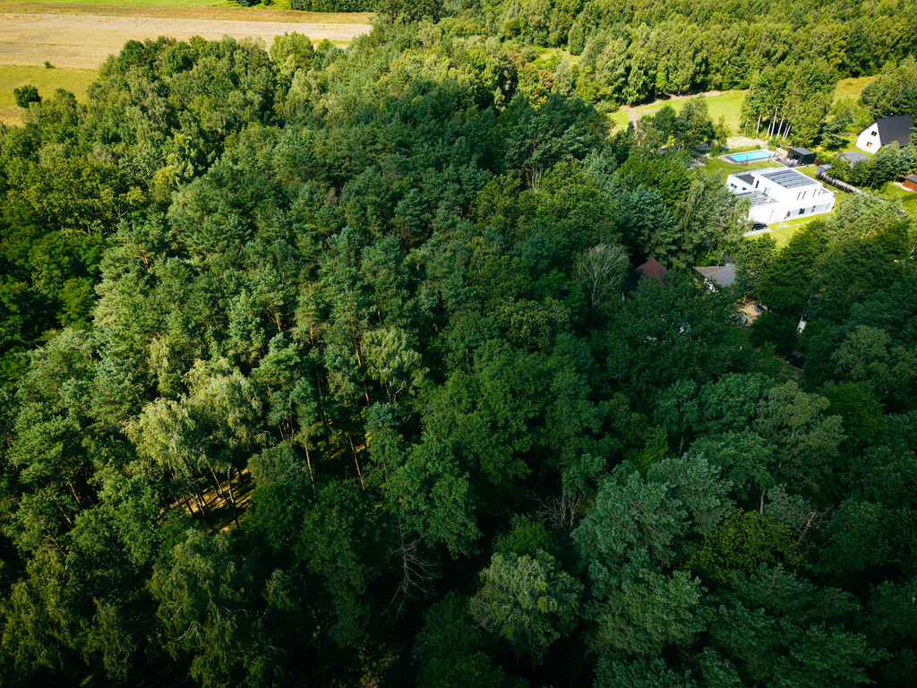 Leśne zacisze czeka na Ciebie!