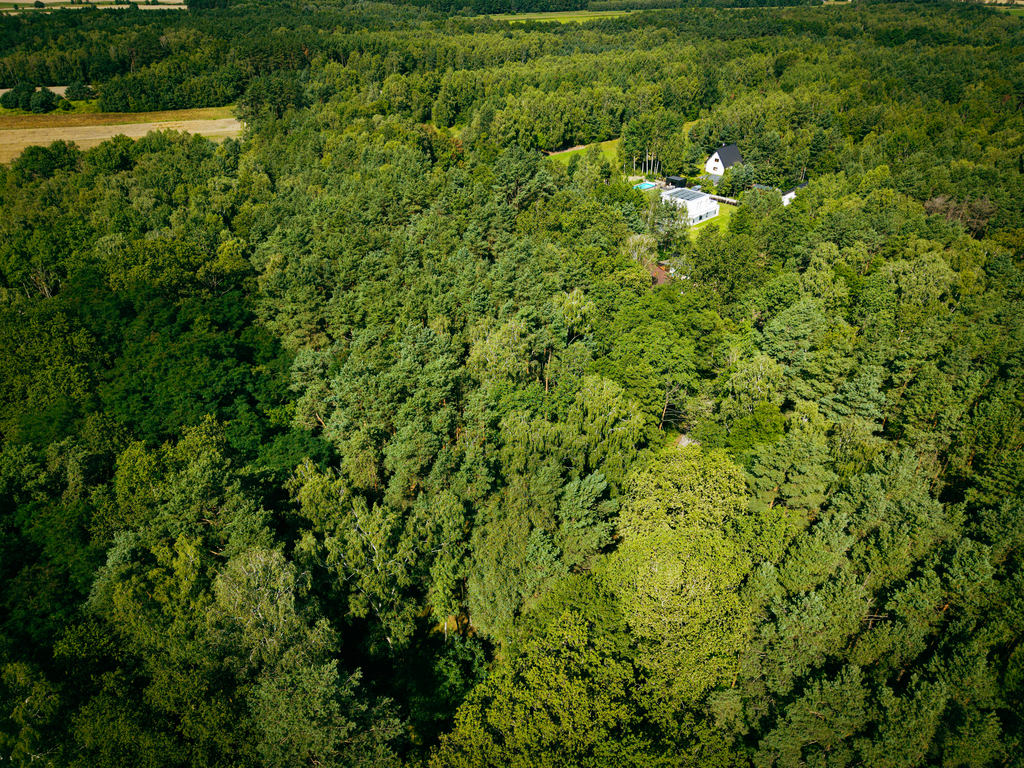 Leśne zacisze czeka na Ciebie!