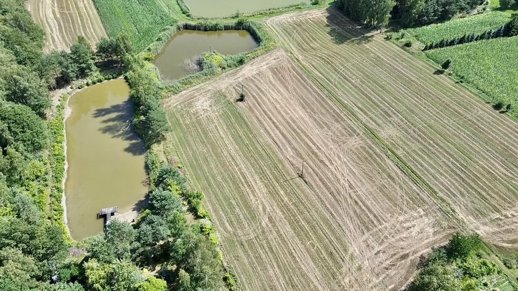Prywatny zakątek w sercu przyrody