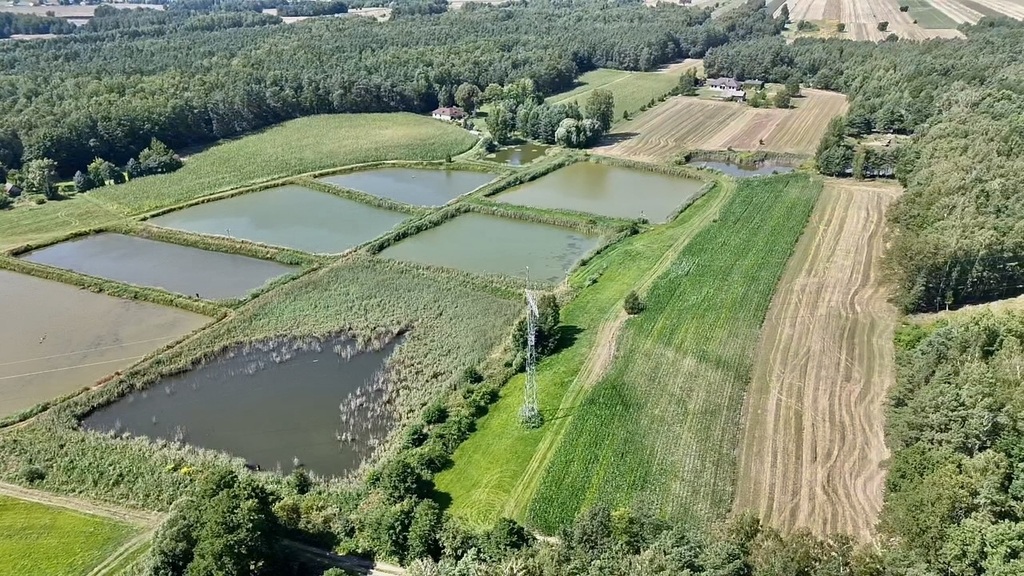 Prywatny zakątek w sercu przyrody