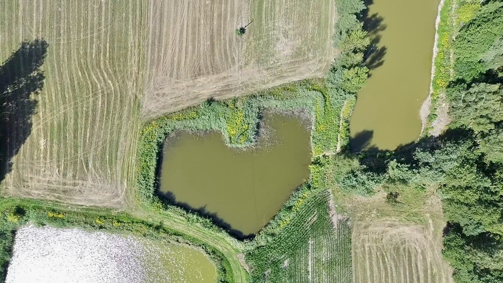 Prywatny zakątek w sercu przyrody