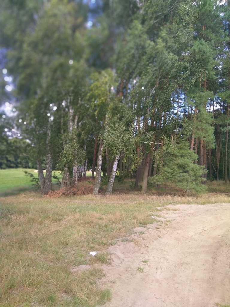 Działka Tanowo,plan-usługi,3233m2,łączna-1.74 ha.