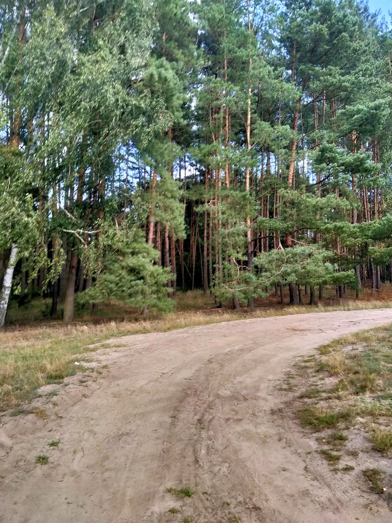 Działka Tanowo,plan-usługi,3233m2,łączna-1.74 ha.