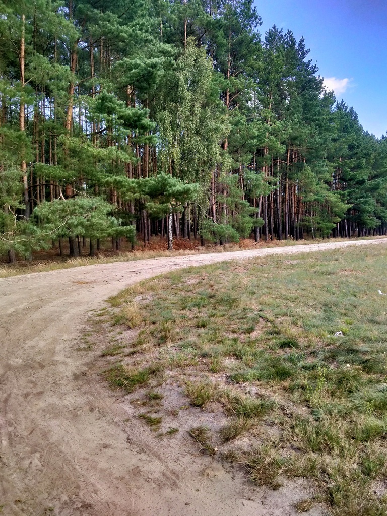 Działka Tanowo,plan-usługi,3233m2,łączna-1.74 ha.