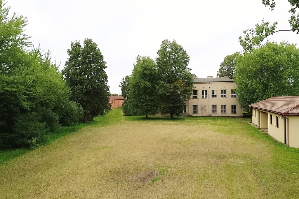 Nieruchomość inwestycyjna w Pałczewie, gm. Brójce