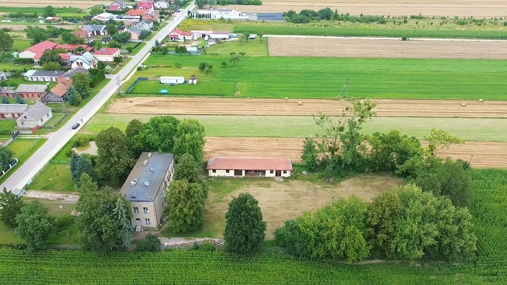 Nieruchomość inwestycyjna w Pałczewie, gm. Brójce