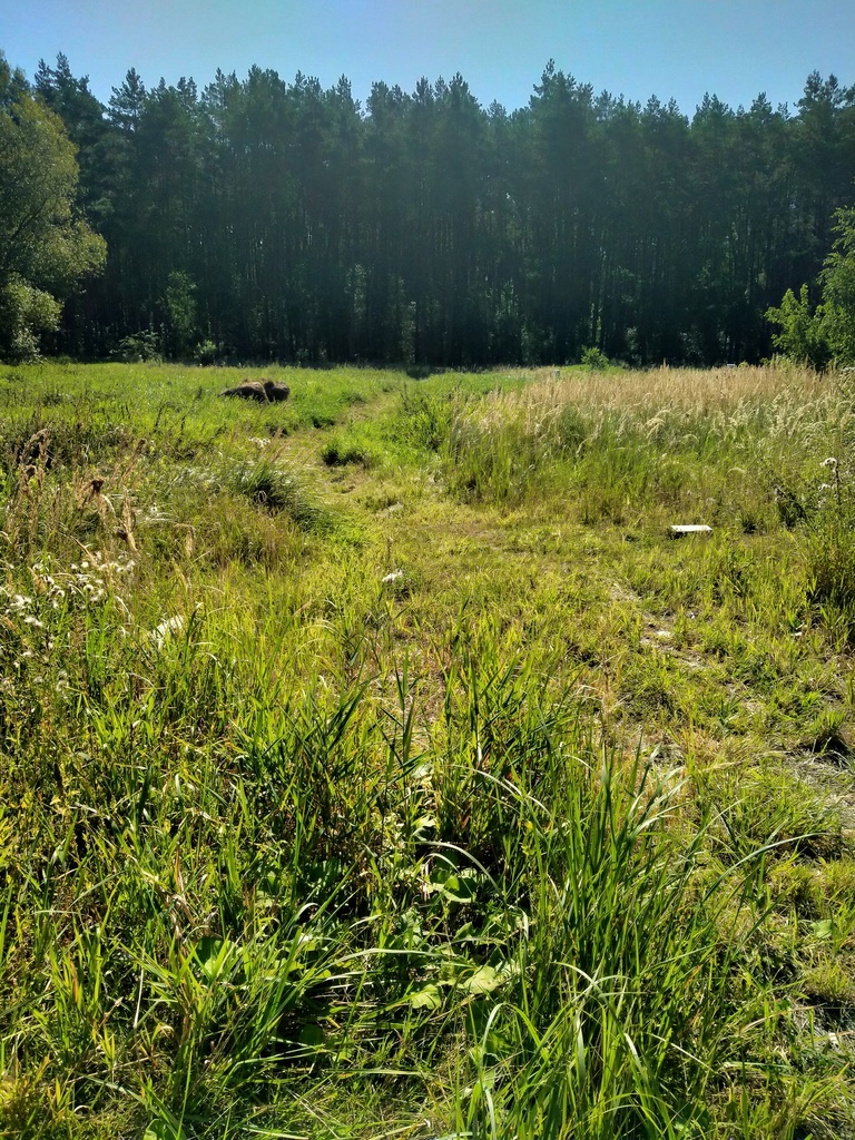 Działka Wołczkowo 1063 m2,las