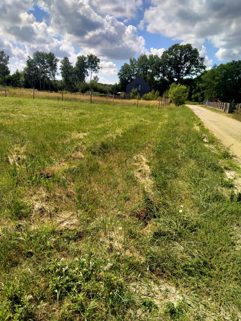 Działka 3179m2,obr.Grzepnica,gm.Dobra, las,media